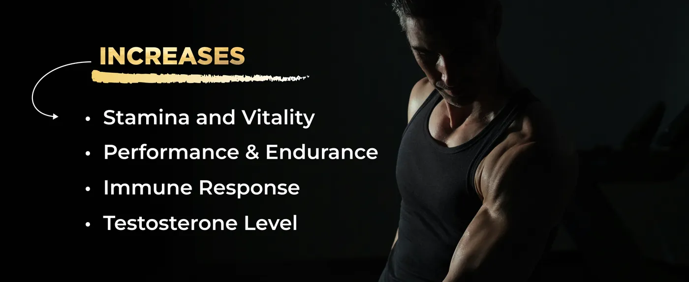 Stamina Booster A+ Desktop Banner 5